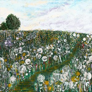 Dandelion clocks, Mottram St Andrew. Limited edition print